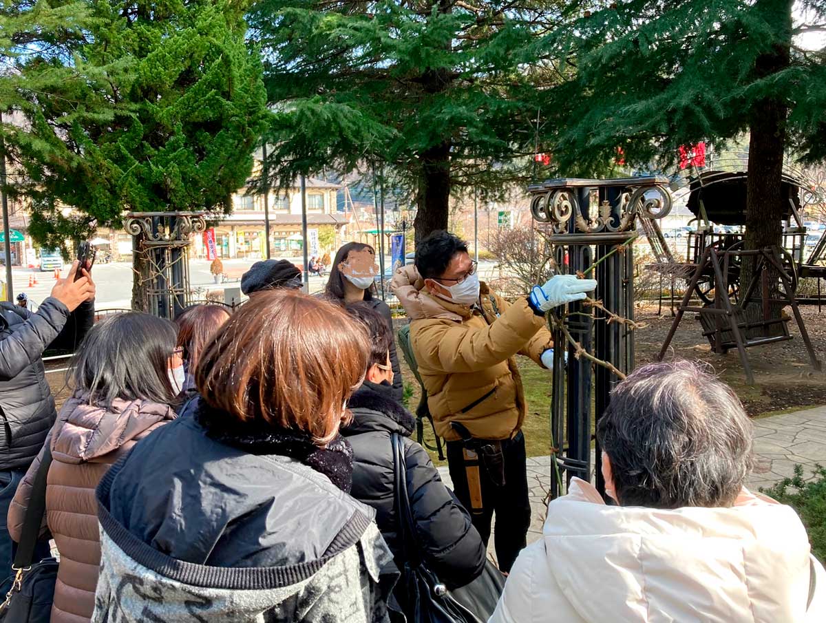 バラ園（ローズガーデン）技術指導